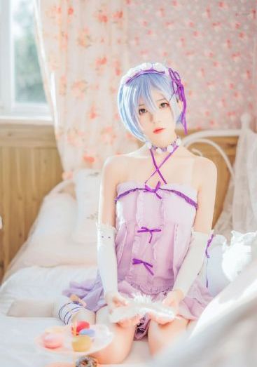 兔子照片大全图片_手机在线免费观看